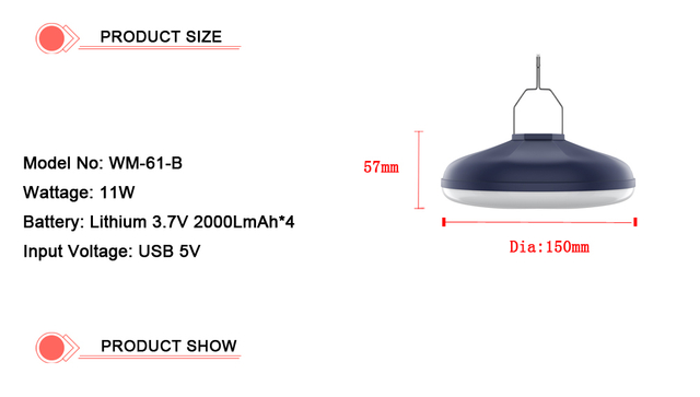 LED Emergency Wall light special version suitable for indoor emergency passages