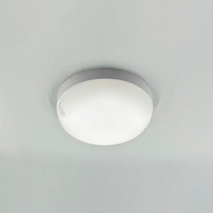 Bulkhead Emergency Lighting Indoor And Outdoor General Lighting IP54